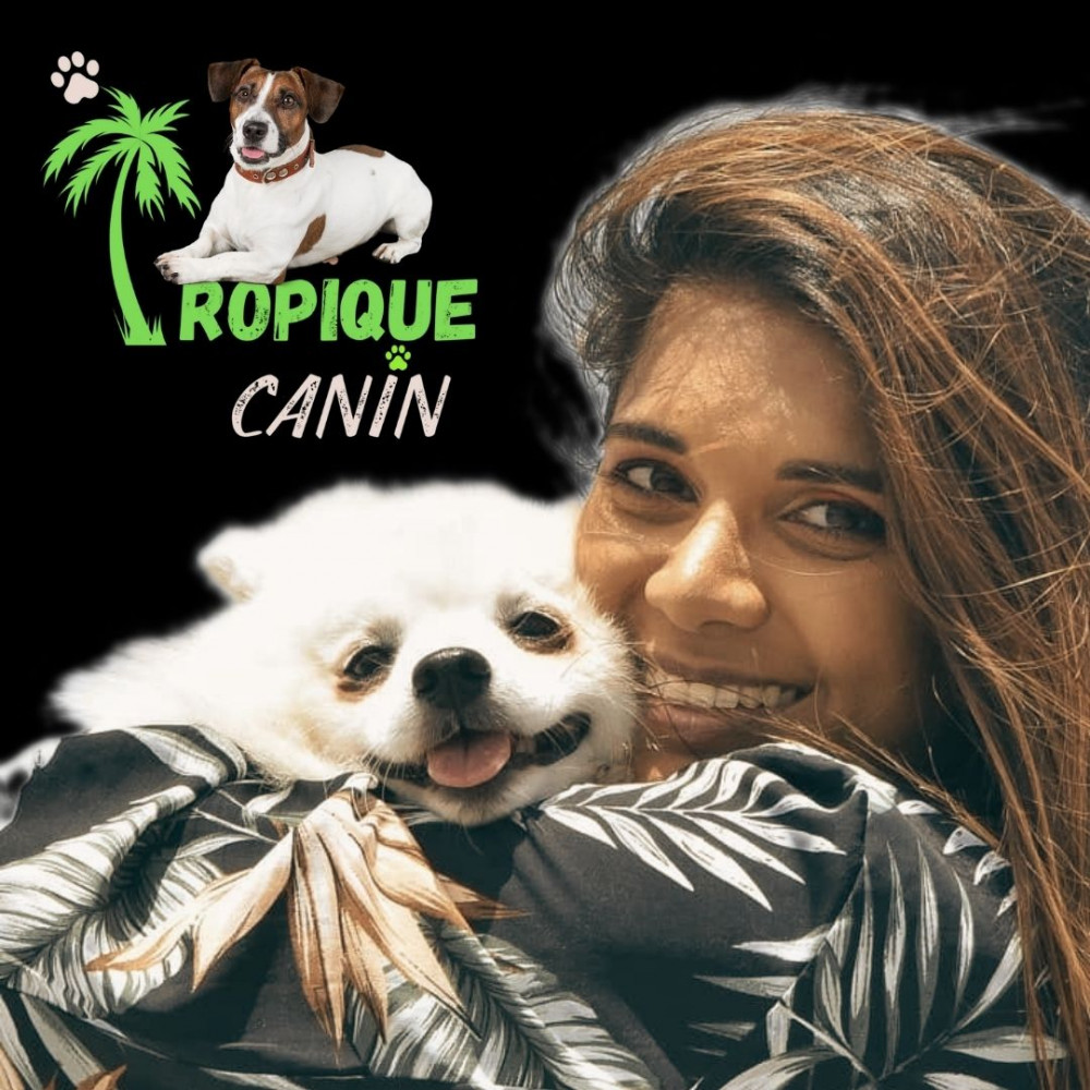 Tropique Canin | Toilettage